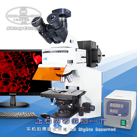 正置荧光显微镜XSP-63XC